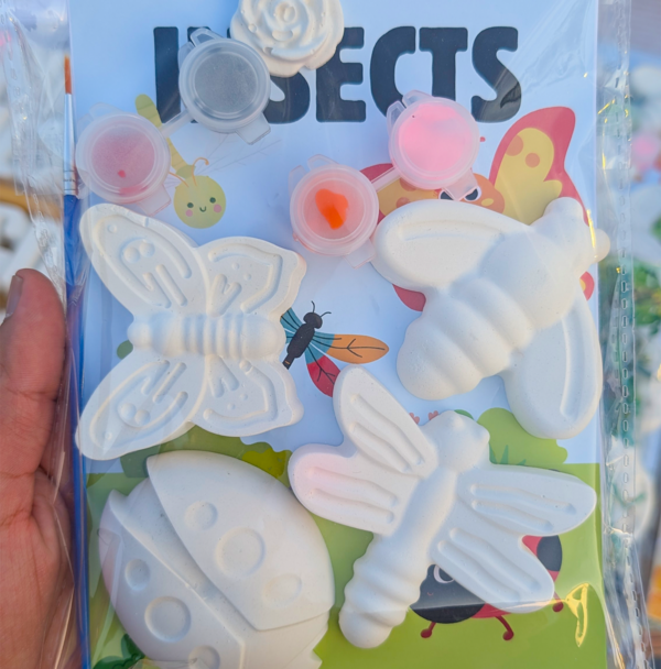 Insect DIY Painting Kit – Big