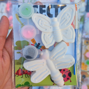 Insect DIY Painting Kit – Small